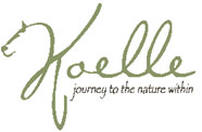 Koelleinc.com